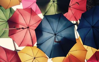 Bunte, aufgespannte Regenschirme von unten fotografiert.