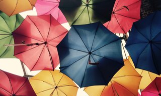 Bunte, aufgespannte Regenschirme von unten fotografiert.